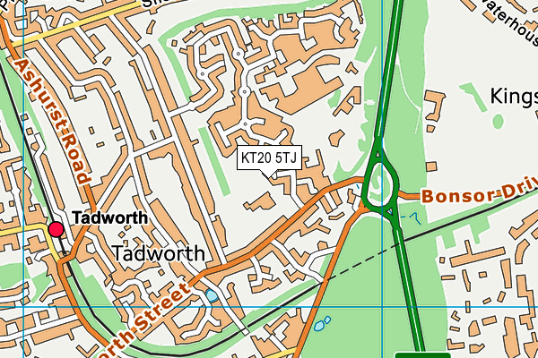 KT20 5TJ map - OS VectorMap District (Ordnance Survey)