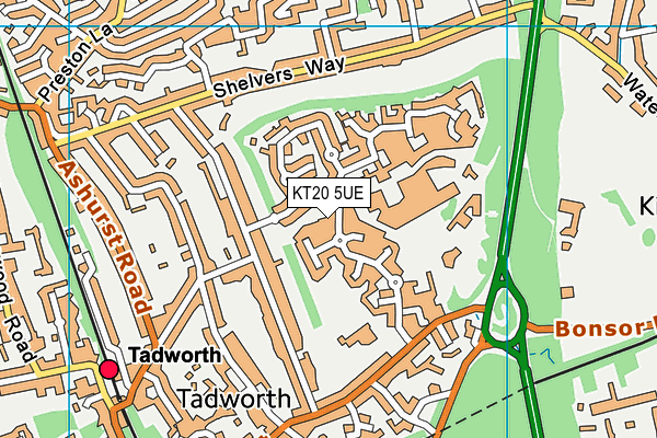 KT20 5UE map - OS VectorMap District (Ordnance Survey)