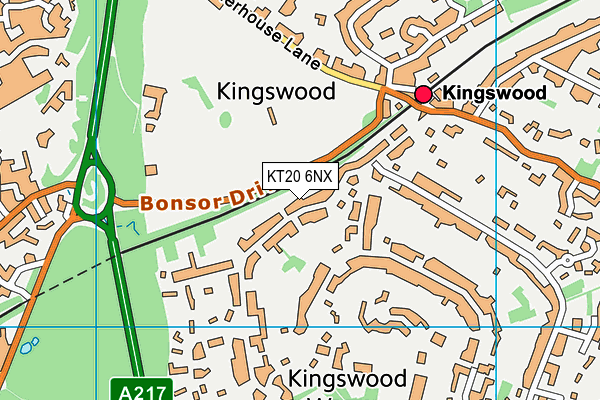 KT20 6NX map - OS VectorMap District (Ordnance Survey)
