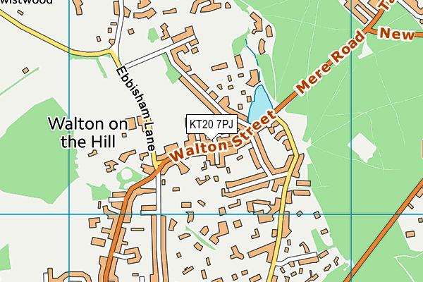 KT20 7PJ map - OS VectorMap District (Ordnance Survey) KT20 7PJ map - OS VectorMap District (Ordnance Survey)