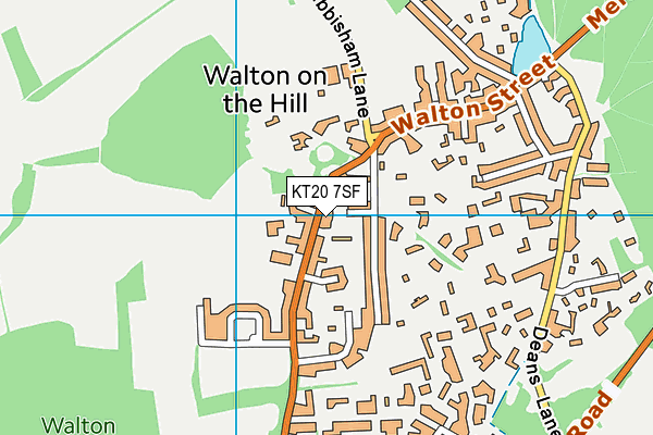 KT20 7SF map - OS VectorMap District (Ordnance Survey) KT20 7SF map - OS VectorMap District (Ordnance Survey)