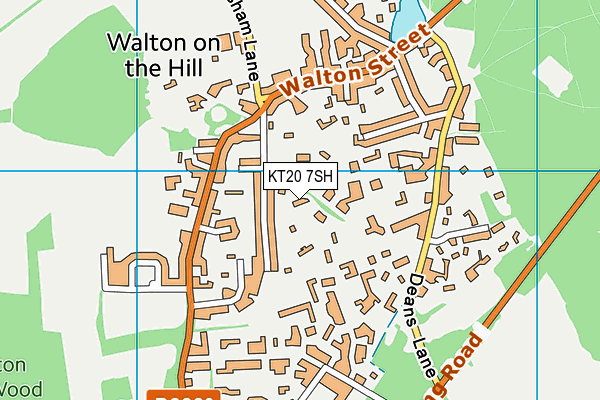 KT20 7SH map - OS VectorMap District (Ordnance Survey)