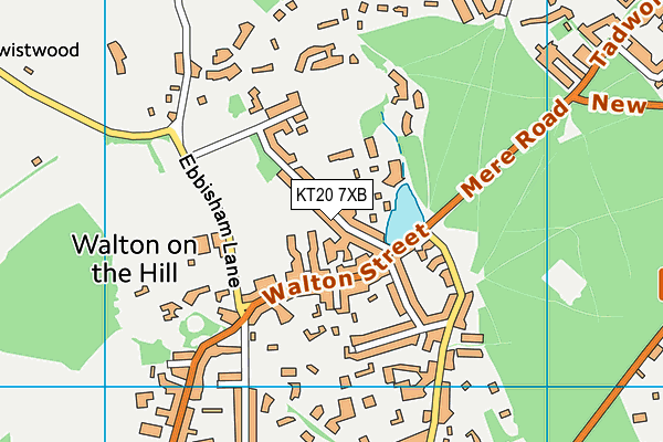 KT20 7XB map - OS VectorMap District (Ordnance Survey) KT20 7XB map - OS VectorMap District (Ordnance Survey)