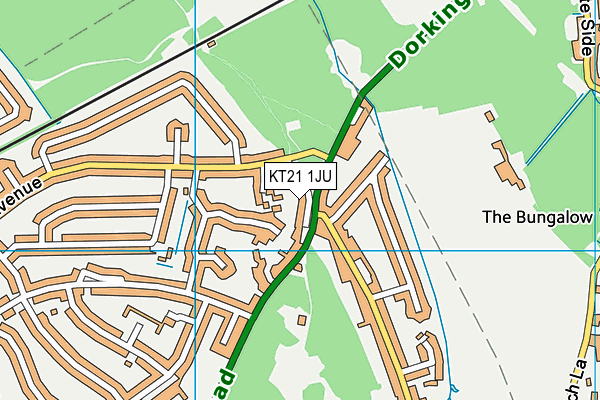 KT21 1JU map - OS VectorMap District (Ordnance Survey)
