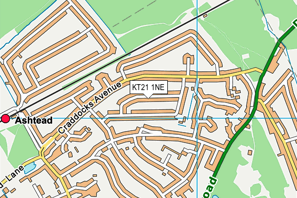 KT21 1NE map - OS VectorMap District (Ordnance Survey)