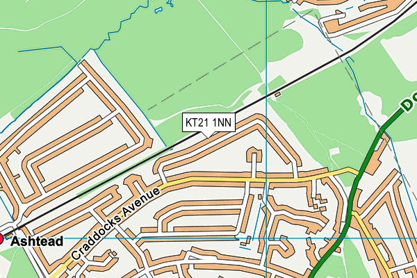 KT21 1NN map - OS VectorMap District (Ordnance Survey)