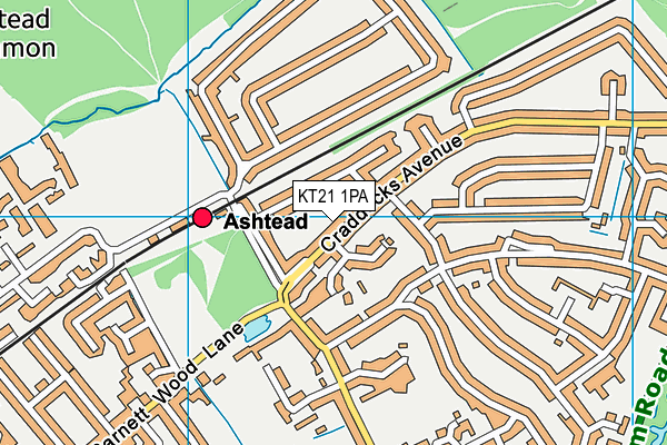 KT21 1PA map - OS VectorMap District (Ordnance Survey) KT21 1PA map - OS VectorMap District (Ordnance Survey)