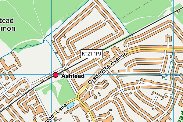 KT21 1PJ map - OS VectorMap District (Ordnance Survey)