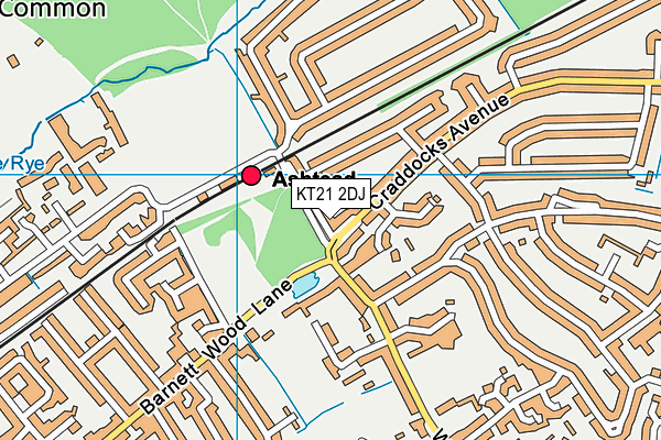 KT21 2DJ map - OS VectorMap District (Ordnance Survey) KT21 2DJ map - OS VectorMap District (Ordnance Survey)