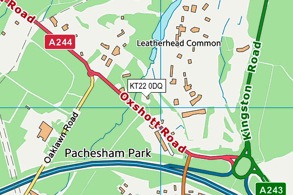 KT22 0DQ map - OS VectorMap District (Ordnance Survey) KT22 0DQ map - OS VectorMap District (Ordnance Survey)