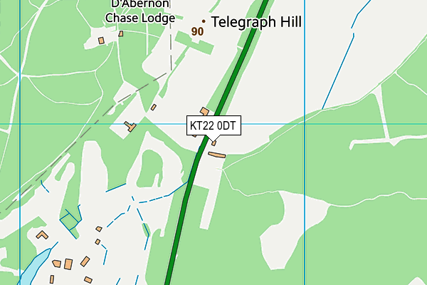 KT22 0DT map - OS VectorMap District (Ordnance Survey) KT22 0DT map - OS VectorMap District (Ordnance Survey)