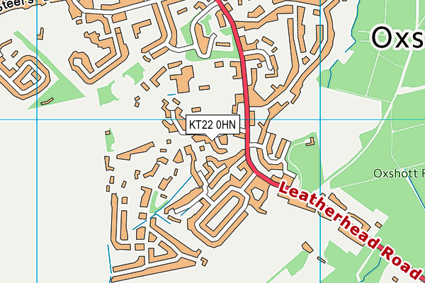 KT22 0HN map - OS VectorMap District (Ordnance Survey) KT22 0HN map - OS VectorMap District (Ordnance Survey)
