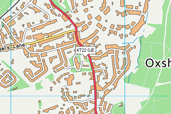 KT22 0JE map - OS VectorMap District (Ordnance Survey) KT22 0JE map - OS VectorMap District (Ordnance Survey)