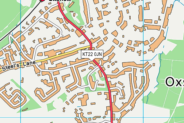 KT22 0JN map - OS VectorMap District (Ordnance Survey) KT22 0JN map - OS VectorMap District (Ordnance Survey)