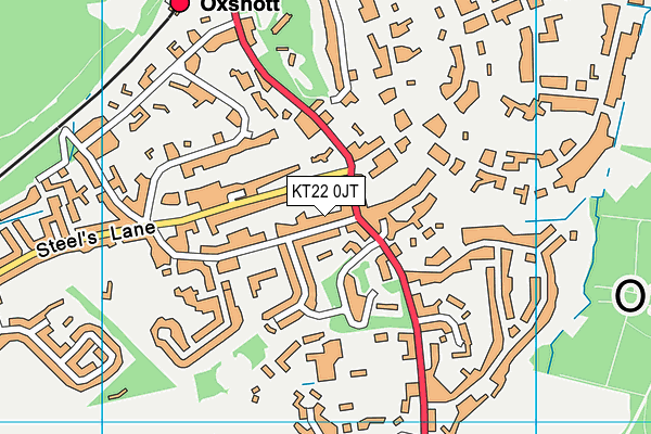 KT22 0JT map - OS VectorMap District (Ordnance Survey) KT22 0JT map - OS VectorMap District (Ordnance Survey)
