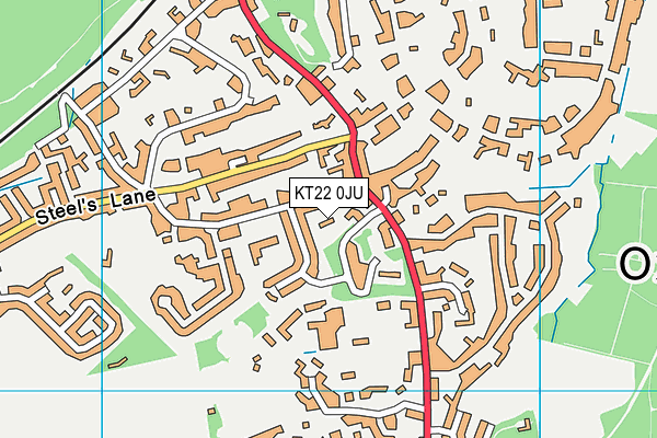 KT22 0JU map - OS VectorMap District (Ordnance Survey) KT22 0JU map - OS VectorMap District (Ordnance Survey)