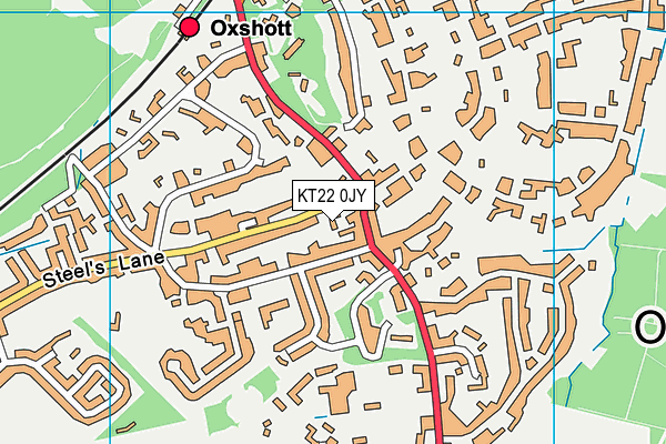KT22 0JY map - OS VectorMap District (Ordnance Survey) KT22 0JY map - OS VectorMap District (Ordnance Survey)