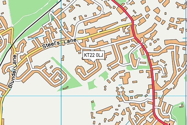 KT22 0LJ map - OS VectorMap District (Ordnance Survey) KT22 0LJ map - OS VectorMap District (Ordnance Survey)