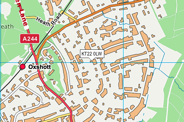 KT22 0LW map - OS VectorMap District (Ordnance Survey) KT22 0LW map - OS VectorMap District (Ordnance Survey)