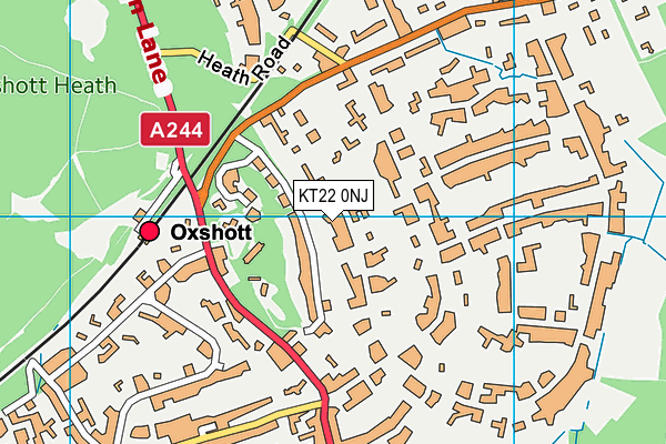 KT22 0NJ map - OS VectorMap District (Ordnance Survey) KT22 0NJ map - OS VectorMap District (Ordnance Survey)