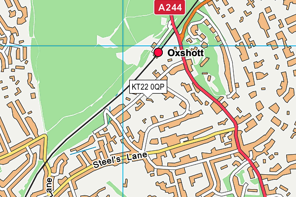 KT22 0QP map - OS VectorMap District (Ordnance Survey) KT22 0QP map - OS VectorMap District (Ordnance Survey)