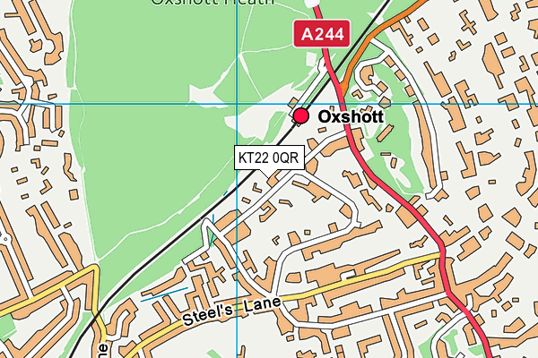KT22 0QR map - OS VectorMap District (Ordnance Survey) KT22 0QR map - OS VectorMap District (Ordnance Survey)