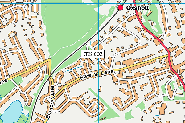 KT22 0QZ map - OS VectorMap District (Ordnance Survey) KT22 0QZ map - OS VectorMap District (Ordnance Survey)