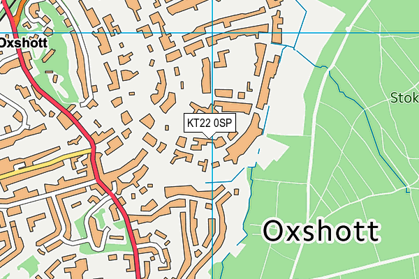KT22 0SP map - OS VectorMap District (Ordnance Survey) KT22 0SP map - OS VectorMap District (Ordnance Survey)