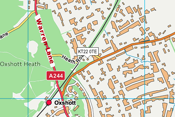 KT22 0TE map - OS VectorMap District (Ordnance Survey) KT22 0TE map - OS VectorMap District (Ordnance Survey)
