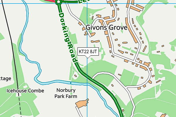 KT22 8JT map - OS VectorMap District (Ordnance Survey) KT22 8JT map - OS VectorMap District (Ordnance Survey)