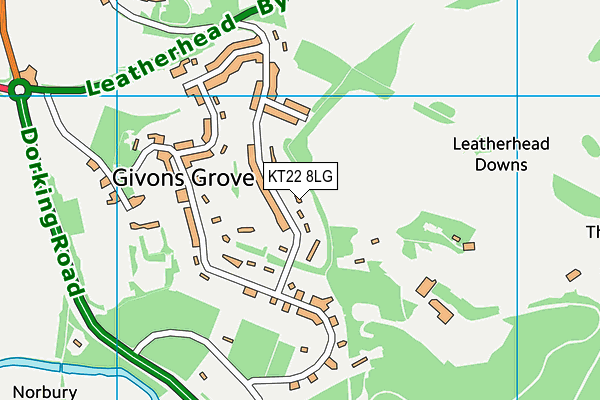 KT22 8LG map - OS VectorMap District (Ordnance Survey) KT22 8LG map - OS VectorMap District (Ordnance Survey)
