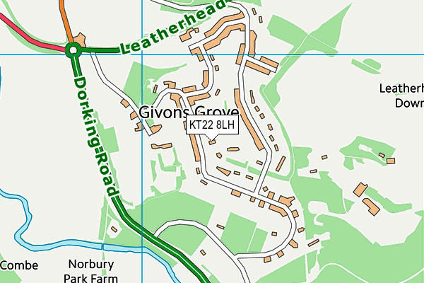 KT22 8LH map - OS VectorMap District (Ordnance Survey) KT22 8LH map - OS VectorMap District (Ordnance Survey)