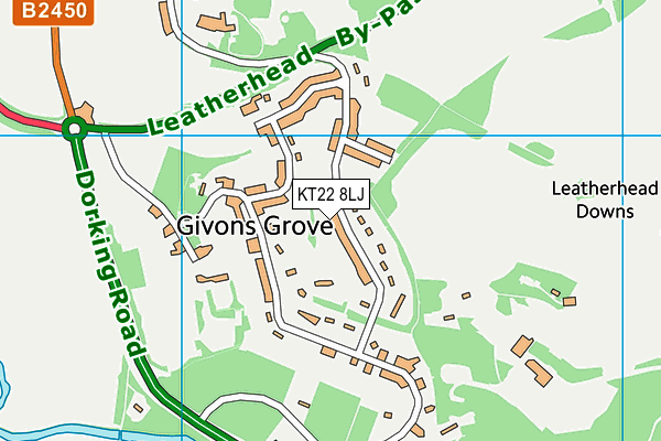 KT22 8LJ map - OS VectorMap District (Ordnance Survey) KT22 8LJ map - OS VectorMap District (Ordnance Survey)