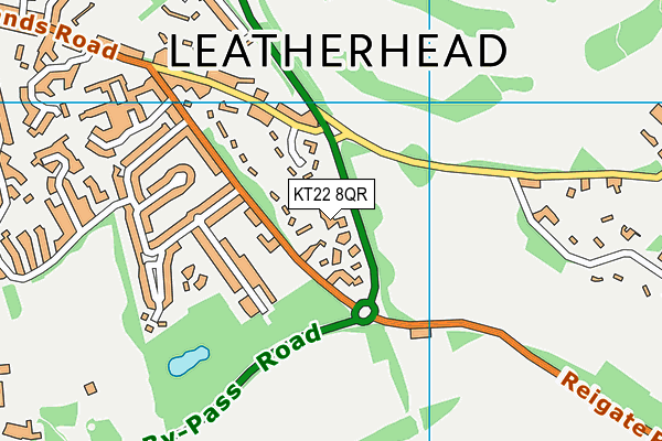 KT22 8QR map - OS VectorMap District (Ordnance Survey) KT22 8QR map - OS VectorMap District (Ordnance Survey)