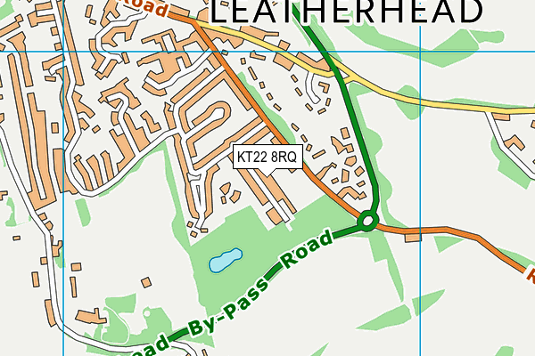 KT22 8RQ map - OS VectorMap District (Ordnance Survey) KT22 8RQ map - OS VectorMap District (Ordnance Survey)