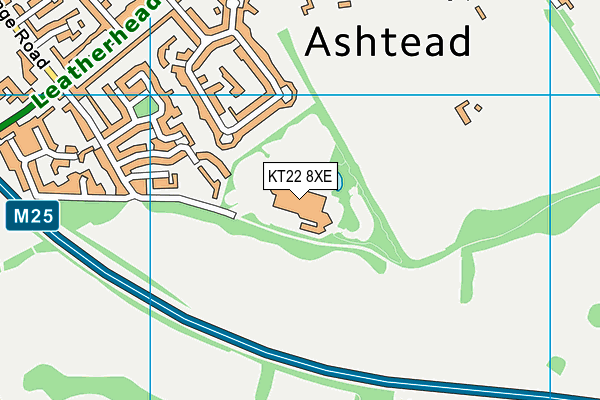 KT22 8XE map - OS VectorMap District (Ordnance Survey) KT22 8XE map - OS VectorMap District (Ordnance Survey)