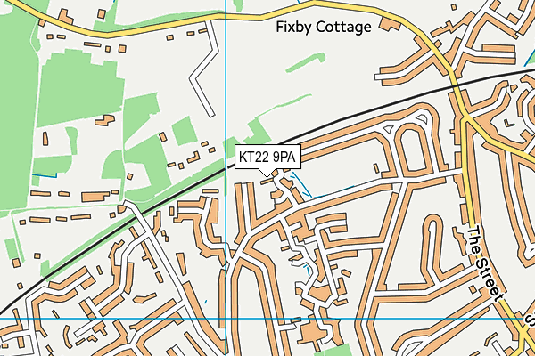 KT22 9PA map - OS VectorMap District (Ordnance Survey) KT22 9PA map - OS VectorMap District (Ordnance Survey)