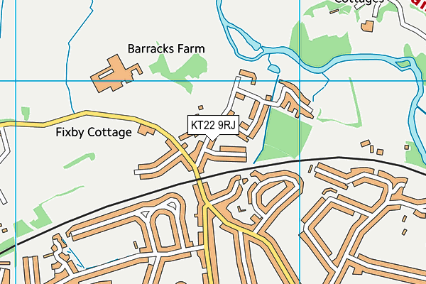 KT22 9RJ map - OS VectorMap District (Ordnance Survey) KT22 9RJ map - OS VectorMap District (Ordnance Survey)