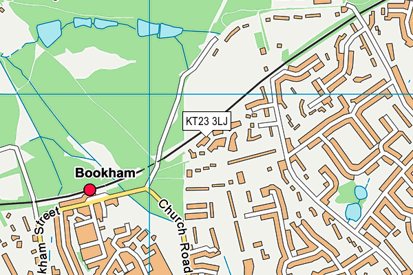 KT23 3LJ map - OS VectorMap District (Ordnance Survey)