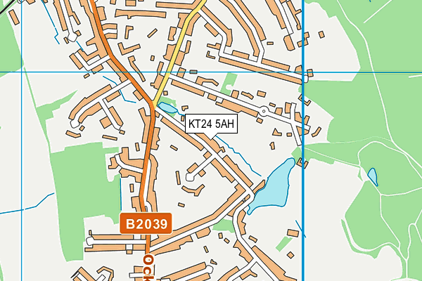 KT24 5AH map - OS VectorMap District (Ordnance Survey) KT24 5AH map - OS VectorMap District (Ordnance Survey)