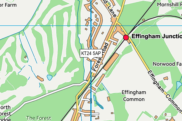 KT24 5AP map - OS VectorMap District (Ordnance Survey) KT24 5AP map - OS VectorMap District (Ordnance Survey)