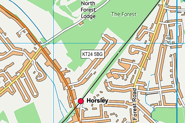 KT24 5BG map - OS VectorMap District (Ordnance Survey)