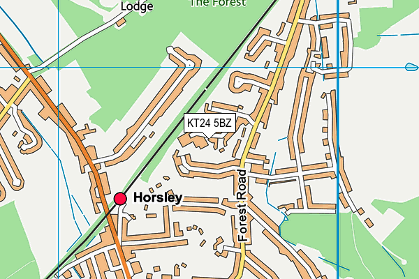 KT24 5BZ map - OS VectorMap District (Ordnance Survey) KT24 5BZ map - OS VectorMap District (Ordnance Survey)