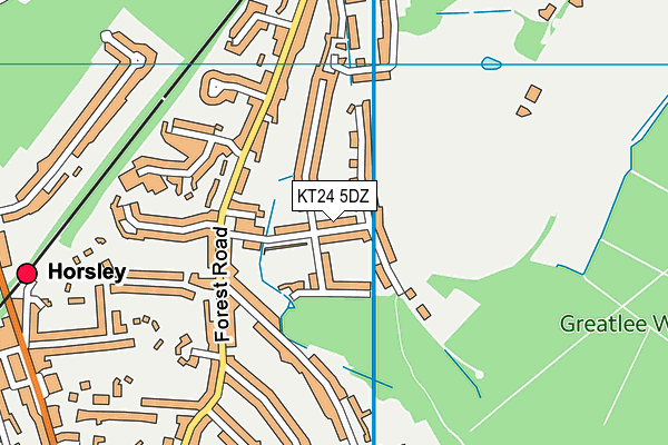 KT24 5DZ map - OS VectorMap District (Ordnance Survey) KT24 5DZ map - OS VectorMap District (Ordnance Survey)