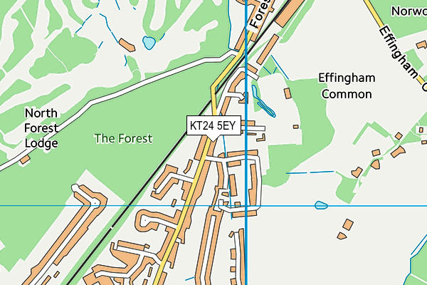 KT24 5EY map - OS VectorMap District (Ordnance Survey) KT24 5EY map - OS VectorMap District (Ordnance Survey)