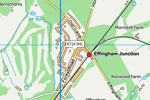 KT24 5HL map - OS VectorMap District (Ordnance Survey) KT24 5HL map - OS VectorMap District (Ordnance Survey)