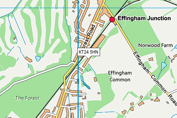 KT24 5HN map - OS VectorMap District (Ordnance Survey) KT24 5HN map - OS VectorMap District (Ordnance Survey)