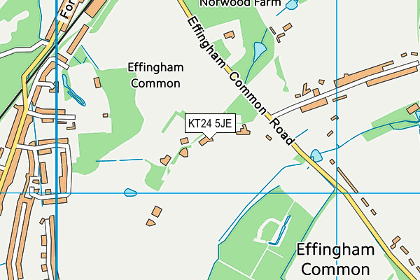 KT24 5JE map - OS VectorMap District (Ordnance Survey)