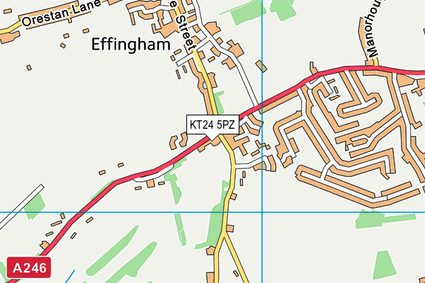 KT24 5PZ map - OS VectorMap District (Ordnance Survey) KT24 5PZ map - OS VectorMap District (Ordnance Survey)