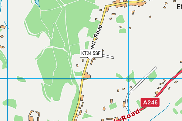 KT24 5SF map - OS VectorMap District (Ordnance Survey)